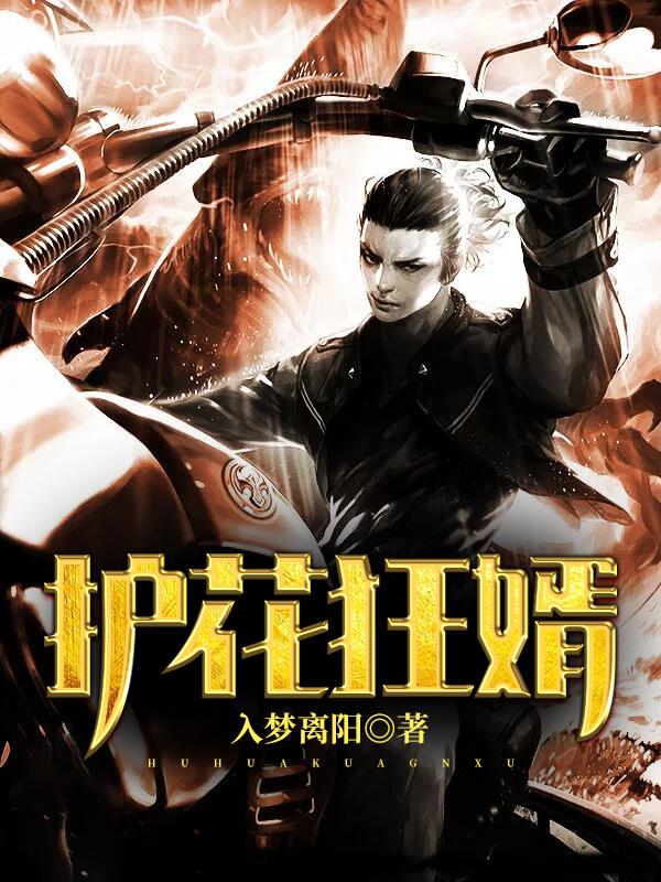 护花狂龙免费全文阅读