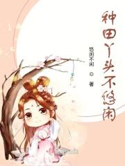 丫鬟种田文发家致富