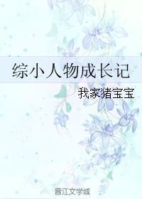 综穿小人物成长记 综穿小人物成长记