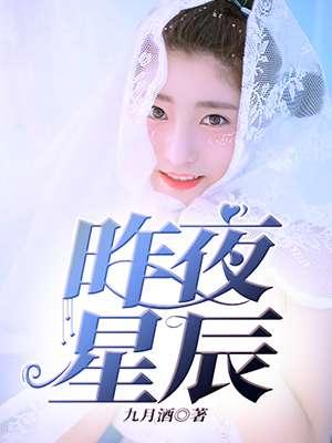 昨夜星辰的歌词 昨夜星辰的歌词