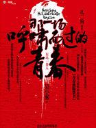 那一场呼啸而过的青春里面的歌曲