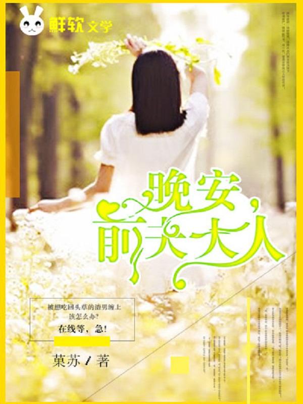 前夫大人全文免费 前夫大人全文免费