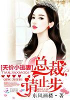 天价小逃妻总裁请止步免费 天价小逃妻总裁请止步免费