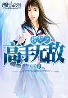 校花之高手无敌TXT