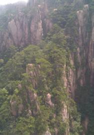 魂环承受极限 魂环承受极限