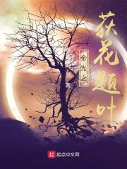 春风十里不如你电视剧 春风十里不如你电视剧