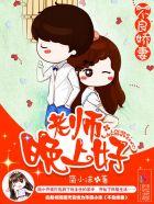 不良娇妻:老师,晚上好 不良娇妻:老师,晚上好